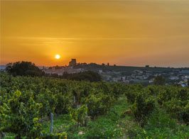 A la découverte du Chateauneuf-du-Pape